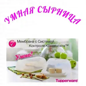 Умная Сырница прямоугольная Tupperware™- 1шт. .-1