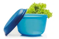 Емкость Свежесть павильон 2л с решеткой Tupperware
