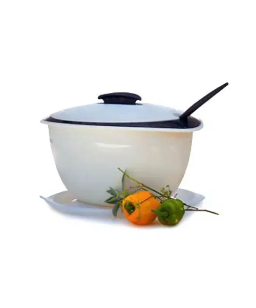 Набор Термодуэт Tupperware