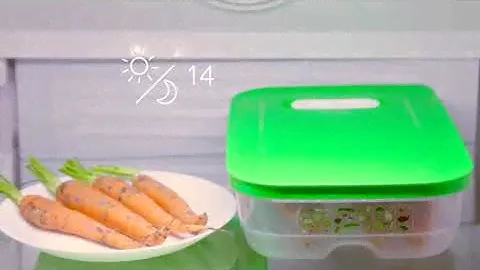 TUPPERWARE | "Умный холодильник"