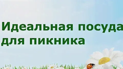 Идеальная посуда для пикника