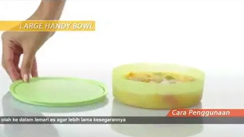 Tupperware Product Info - Large Handy Bowl