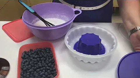 Кокосовый десерт с ЧИА и голубикой. Форма для желе Кольцо