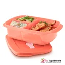 Ёмкость Новая волна 1.0л с разделителем для разогревания Tupperware