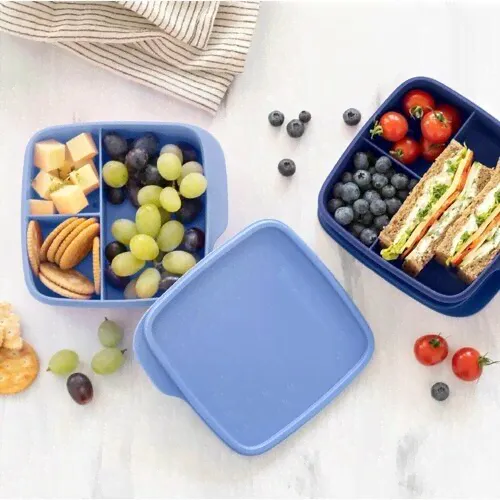 Контейнер с разделителем 550мл &quot;Школьник&quot; Tupperware Для перекусов и завтраков. 2шт