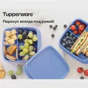 Контейнер с разделителем 550 мл Tupperware