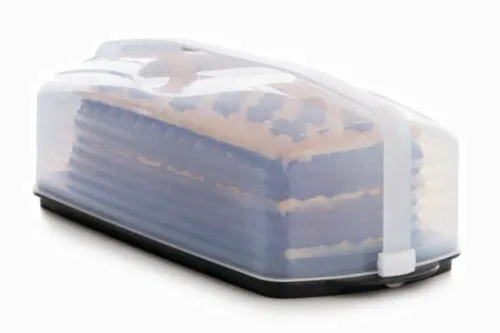 Tupperware Кондитер прямоугольный с ручкой