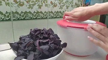 Карусель 3,9л компании Tupperware