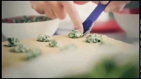 Tupperware Ravioli Maker