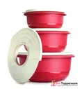 Набор: Замесочные блюда Профи (1.0/2.0/3.5л) с защитной крышкой Tupperware