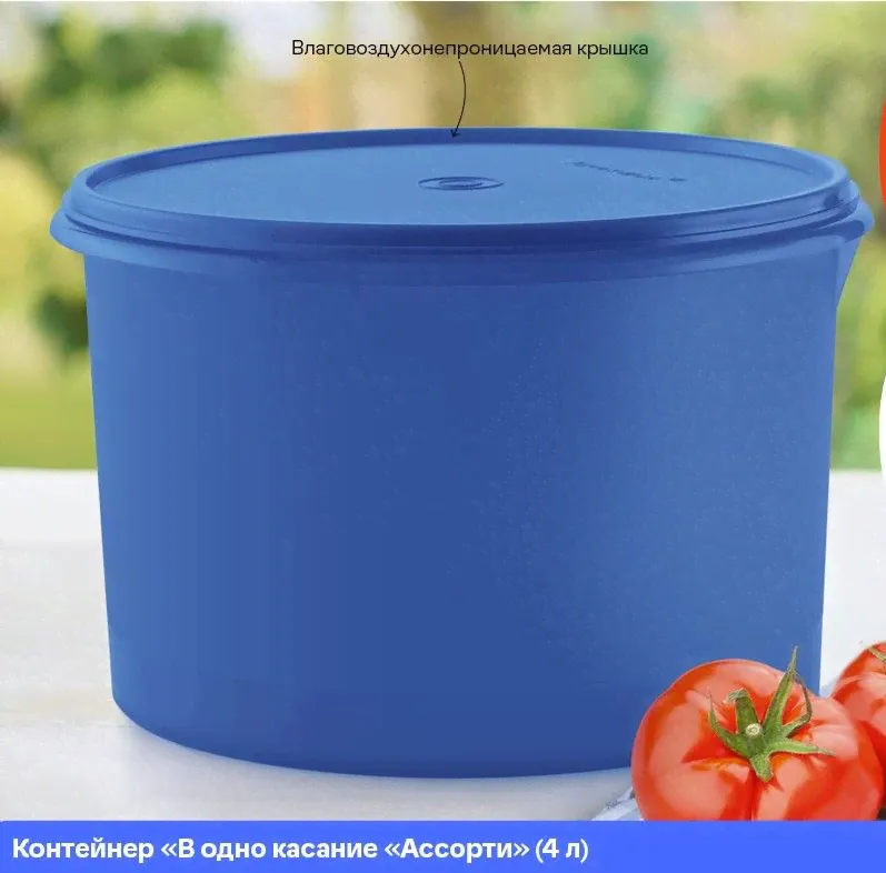 Емкость "Титан" 5 л синяя. Tupperware