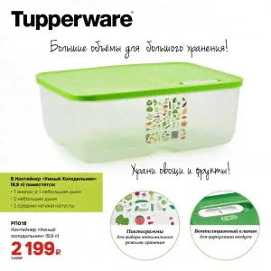 Контейнер Умный холодильник на 9,9 литра Tupperware®-2