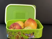 Контейнер Радость жизни Tupperware 500 мл