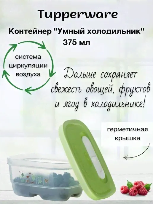 Контейнер Умный холодильник 375 мл Tupperware™-0